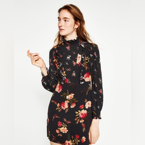 Zara Dresses & Skirts - ZARA | Long sleeve floral print dress (HOST PICK)